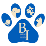 logo of Business Insurers of the Carolinas